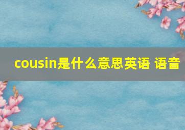 cousin是什么意思英语 语音